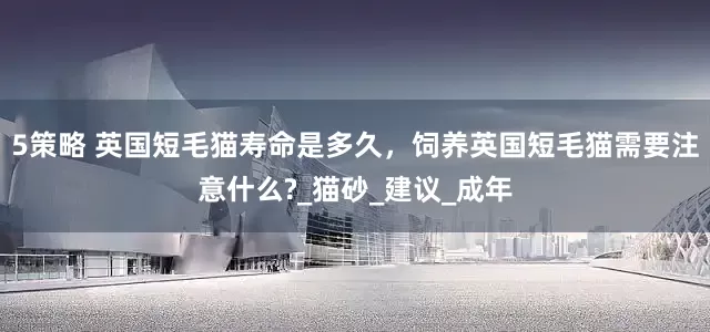 5策略 英国短毛猫寿命是多久，饲养英国短毛猫需要注意什么?_猫砂_建议_成年