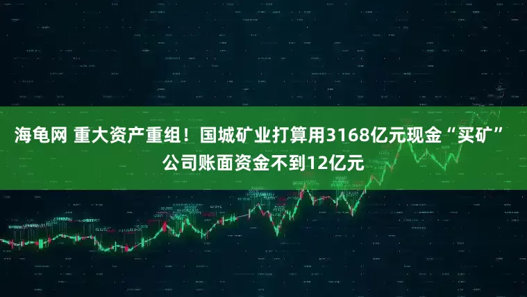 海龟网 重大资产重组！国城矿业打算用3168亿元现金“买矿” 公司账面资金不到12亿元