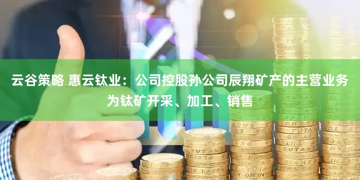 云谷策略 惠云钛业:公司控股孙公司辰翔矿产的主营业务为钛矿开采、加工、销售